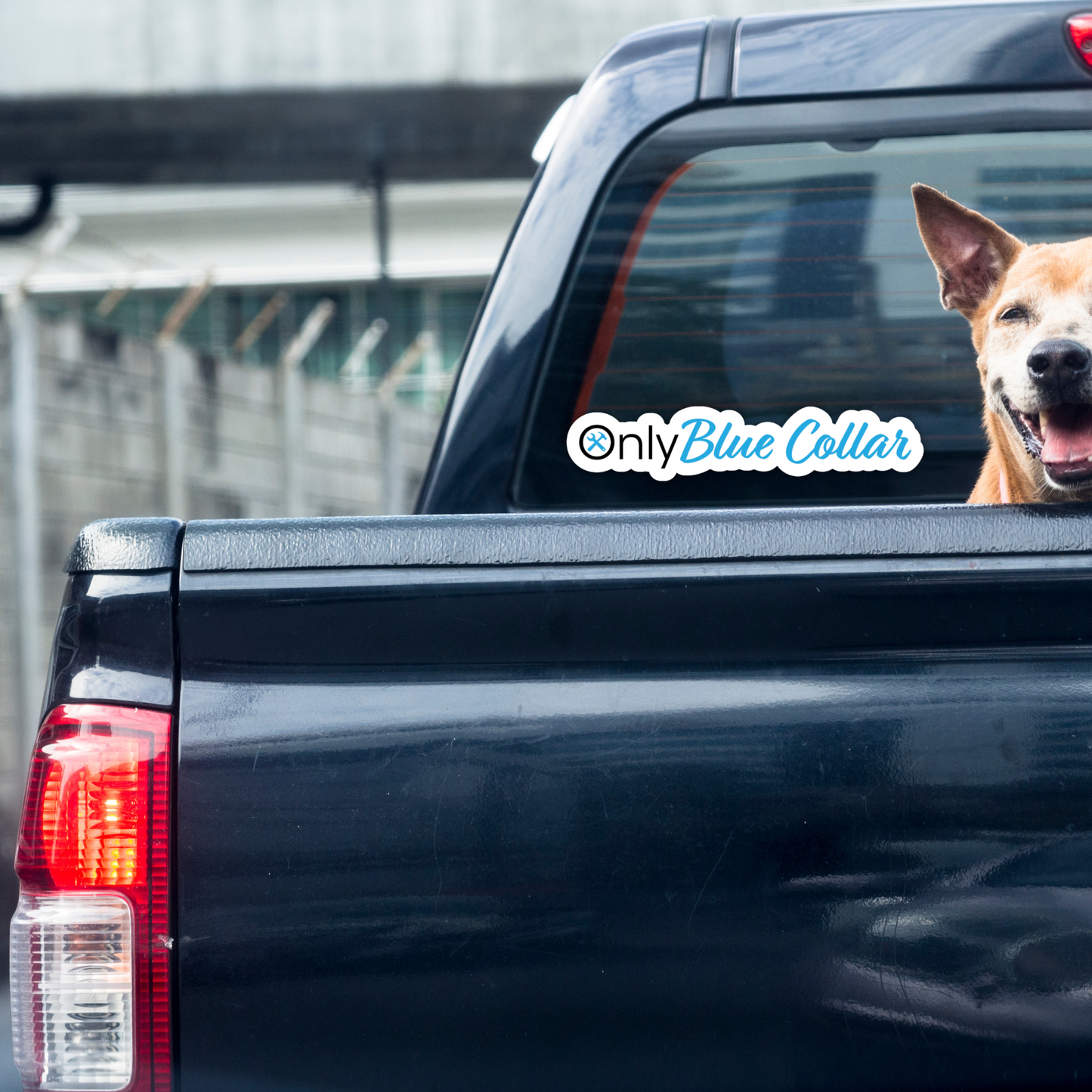 Only Blue Collar Vinyl Sticker & Car Decal – Waterproof, UV Resistant, Durable