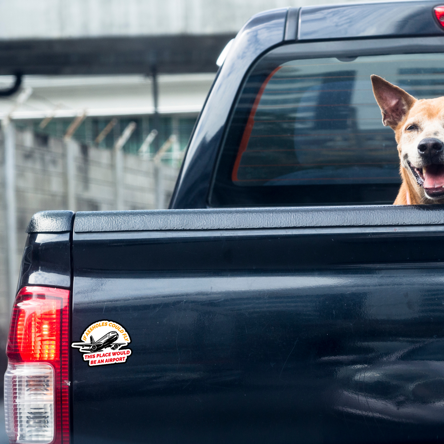 If Assholes Could Fly This Place Would Be An Airport Vinyl Sticker - Waterproof, UV Resistant, Durable