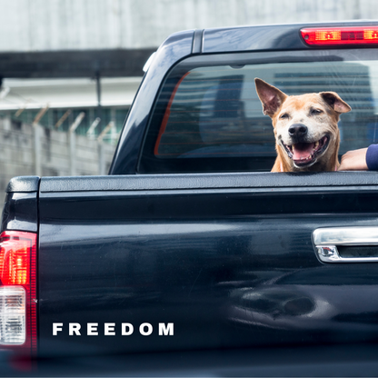 FREEDOM Car Decal – Car Sticker, Water Bottle Sticker, Laptop Conversative Sticker