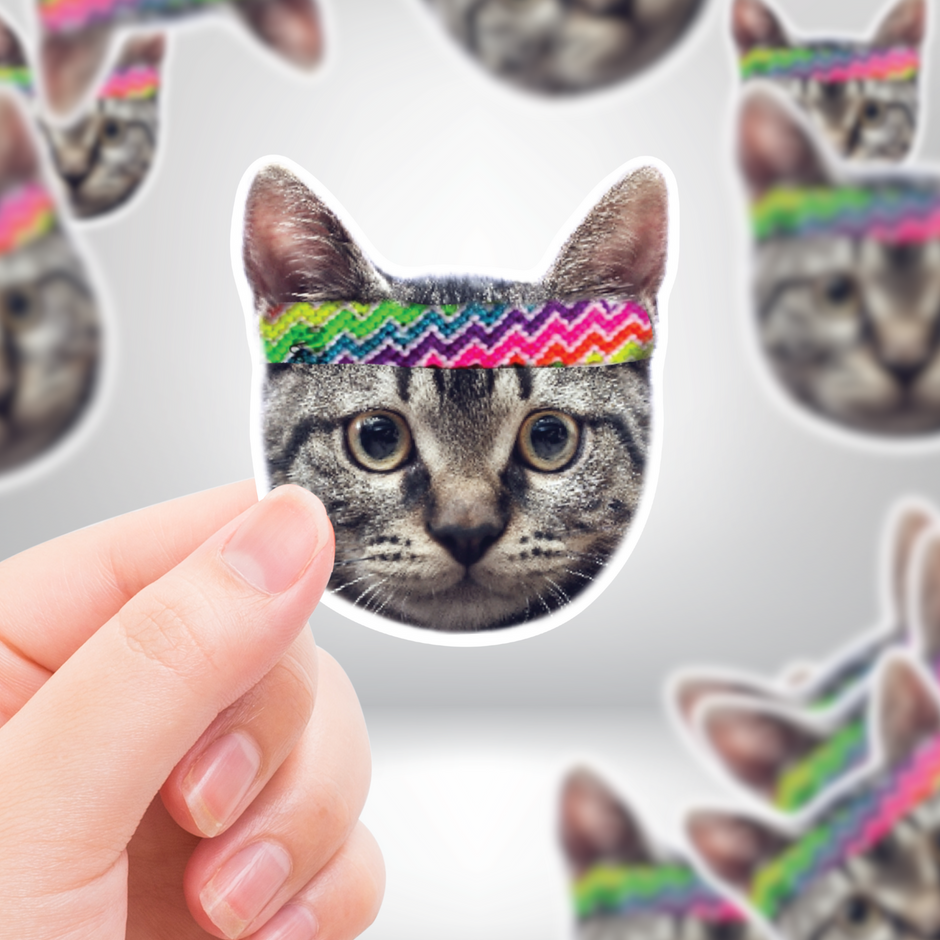 Meme Stickers – Funny, Viral & Perfect for Internet Lovers – Sticker ...
