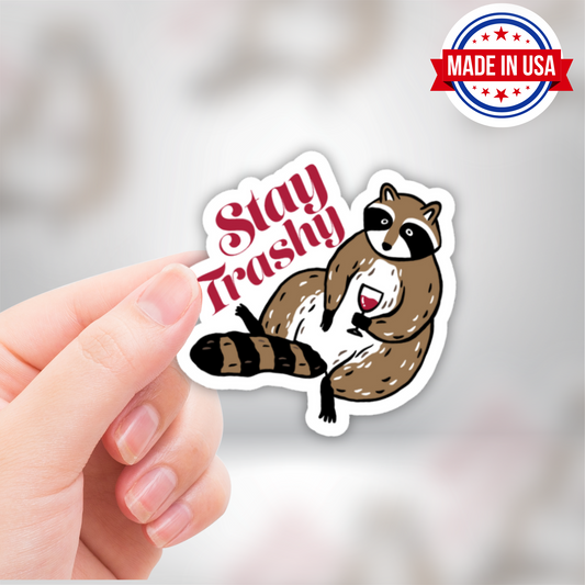 Stay Trashy Racoon Meme Sticker, Funny Sarcasm Sticker, Waterproof Vinyl Decal
