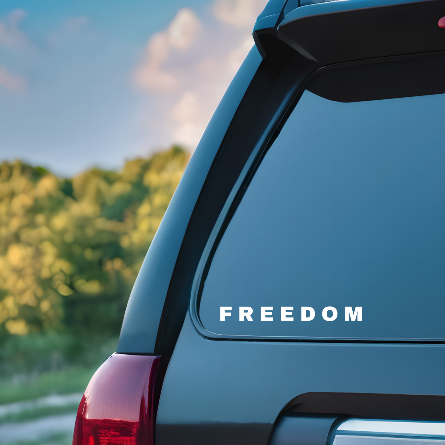 FREEDOM Car Decal – Car Sticker, Water Bottle Sticker, Laptop Conversative Sticker