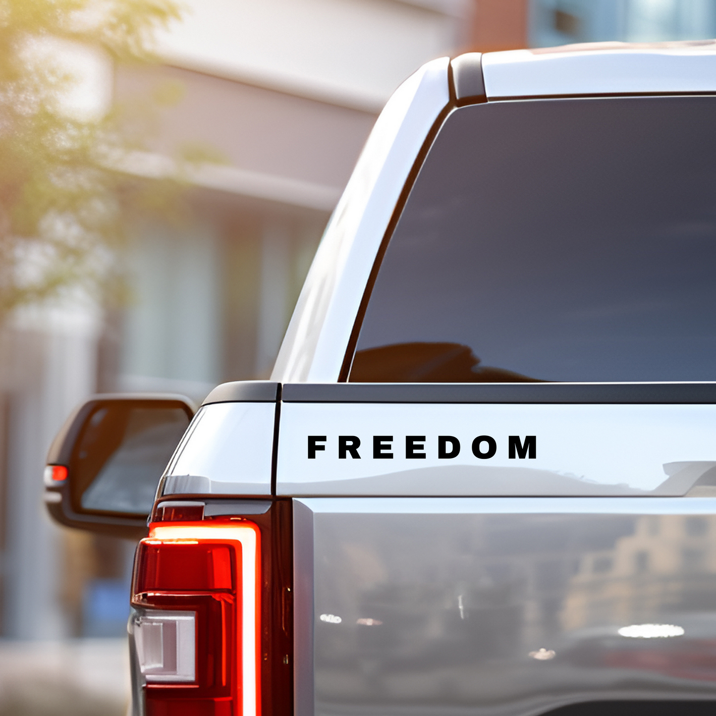 FREEDOM Car Decal – Car Sticker, Water Bottle Sticker, Laptop Conversative Sticker